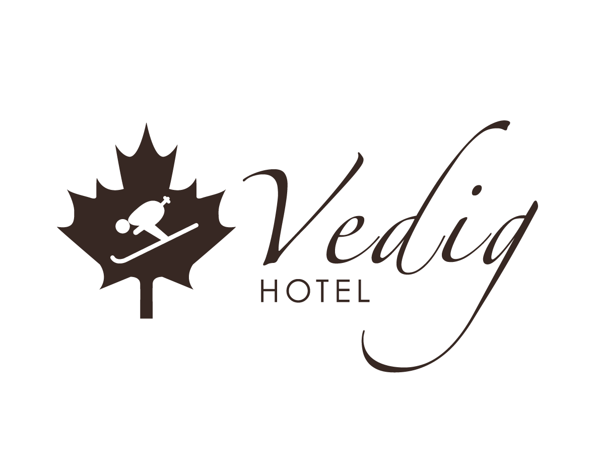 Hotel Vedig